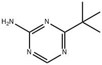 4-(tert-Butyl)-1,3,5-triazin-2-amine 结构式