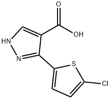 3-(5-氯噻吩-2-基)-1H-吡唑-4-羧酸 结构式