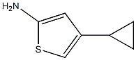2-Amino-4-(cyclopropyl)thiophene 结构式