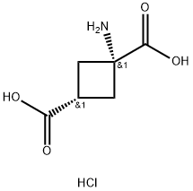 cis(1-aminocyclobutane-1,3-dicarboxylic acid) hydrochloride 结构式