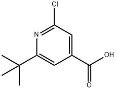 2-叔-丁基-6-氯吡啶-4-羧酸 结构式