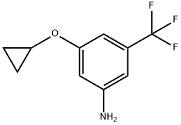 3-环丙氧基-5-三氟甲基苯胺 结构式