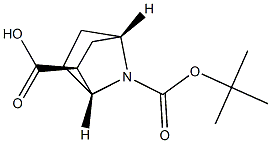 (1R,2S,4S)-7-(叔丁氧基羰基)-7-氮杂双环[2.2.1]庚烷-2-羧酸 结构式
