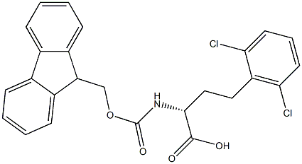 Fmoc-2,6-dichloro-D-homophenylalanine 结构式