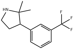 2,2-二甲基-3-(3-(三氟甲基)苯基)吡咯烷 结构式