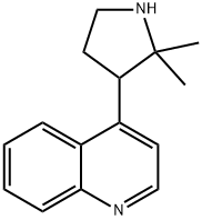 4-(2,2-dimethylpyrrolidin-3-yl)quinoline 结构式