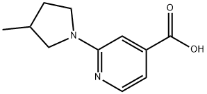 2-(3-甲基吡咯烷-1-基)吡啶-4-羧酸 结构式