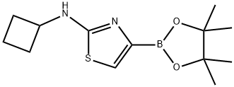 2-CYCLOBUTYLAMINOTHIAZOLE-4-BORONIC ACID PINACOL ESTER 结构式