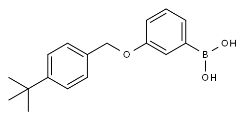 3-(4-叔丁基苯甲氧基)苯基硼酸 结构式