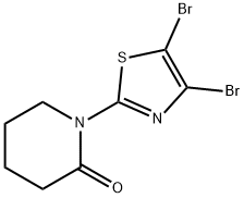 4,5-Dibromo-2-(piperidon-1-yl)thiazole 结构式