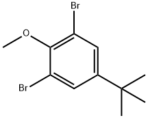 1,3-dibromo-5-(tert-butyl)-2-methoxybenzene 结构式