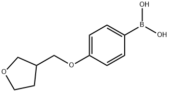 {4-[(噁戊环-3-基)甲氧基]苯基}硼酸 结构式