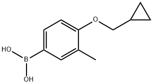 4-(环丙基甲氧基)-3-甲基苯硼酸 结构式