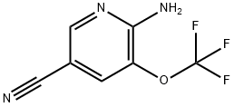 6-氨基-5-(三氟甲氧基)烟腈 结构式