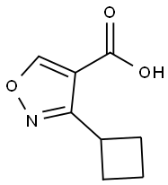 3-cyclobutyl-1,2-oxazole-4-carboxylic acid 结构式