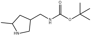 叔丁基N-[(5-甲基吡咯烷-3-基)甲基]氨基甲酸酯 结构式