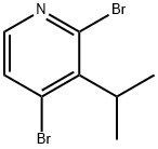 2,4-Dibromo-3-(iso-propyl)pyridine 结构式