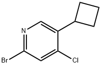 2-溴-4-氯-5-环丁基吡啶 结构式