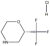 (S)-2-(三氟甲基)吗啉盐酸盐 结构式