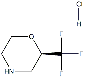(2R)-2-(trifluoromethyl)morpholine hydrochloride 结构式