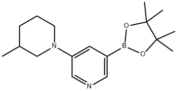 5-(3-Methylpiperidin-1-yl)pyridine-3-boronic acid pinacol ester 结构式