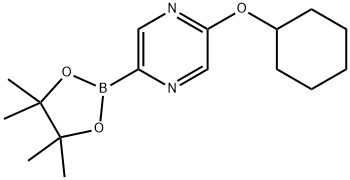 2-(cyclohexyloxy)-5-(4,4,5,5-tetramethyl-1,3,2-dioxaborolan-2-yl)pyrazine 结构式