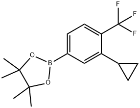 2-(3-环丙基-4-(三氟甲基)苯基)-4,4,5,5-四甲基-1,3,2-二氧硼杂环戊烷 结构式