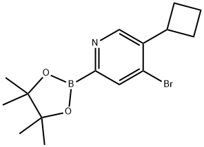 4-Bromo-5-(cyclobutyl)pyridine-2-boronic acid pinacol ester 结构式