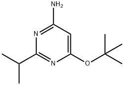 4-Amino-2-(iso-propyl)-6-(tert-butoxy)pyrimidine 结构式