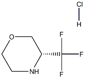 (R)-3-(Trifluoromethyl)morpholine hydrochloride 结构式