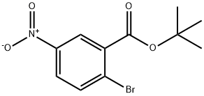 2-溴-5-硝基苯甲酸叔丁酯 结构式