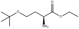 乙基 2-氨基-4-(叔-丁氧基)丁酯 结构式