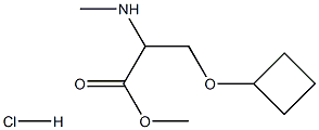 3-环丁氧基-2-(甲氨基)丙酸甲酯盐酸盐 结构式