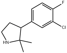 3-(3-chloro-4-fluorophenyl)-2,2-dimethylpyrrolidine 结构式