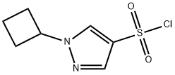 1-cyclobutyl-1H-pyrazole-4-sulfonyl chloride 结构式