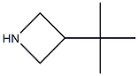 3-tert-butylazetidine 结构式