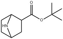 tert-butyl 7-azabicyclo[2.2.1]heptane-2-carboxylate 结构式