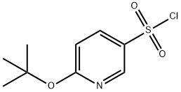 6-(tert-butoxy)pyridine-3-sulfonyl chloride 结构式