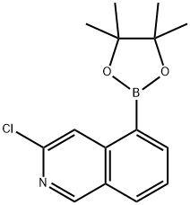 3-氯异喹啉-5-硼酸频那醇酯 结构式