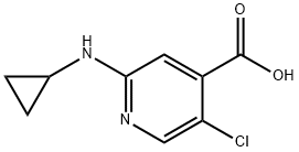 5-chloro-2-(cyclopropylamino)pyridine-4-carboxylic acid 结构式