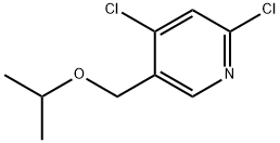 2,4-dichloro-5-[(1-methylethoxy)methyl]Pyridine 结构式