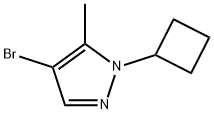 4-Bromo-5-methyl-1-cyclobutyl-1H-pyrazole 结构式