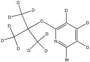 2-Bromo-6-(tert-butoxy)pyridine-d12 结构式
