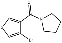 (4-溴代噻吩-3-基)(吡咯烷-1-基)甲酮 结构式