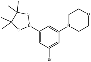 4-(3-bromo-5-(4,4,5,5-tetramethyl-1,3,2-dioxaborolan-2-yl)phenyl)morpholine 结构式