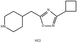 4-[(3-环丁基-1,2,4-噁二唑-5-基)甲基]哌啶盐酸 结构式