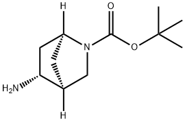 (1S,4S,5R)-5-氨基-2-氮杂双环[2.2.1]庚烷-2-羧酸叔丁酯 结构式
