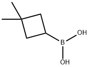 (3,3-dimethylcyclobutyl)boronic acid 结构式