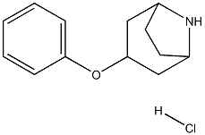 3-phenoxy-8-azabicyclo[3.2.1]octane hydrochloride 结构式