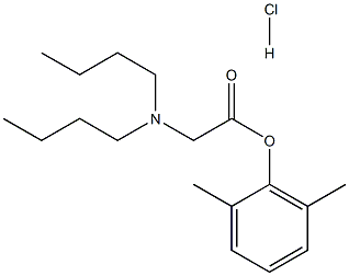 N,N-Dibutylglycine-2,6-Xylyl Ester Hydrochloride 结构式